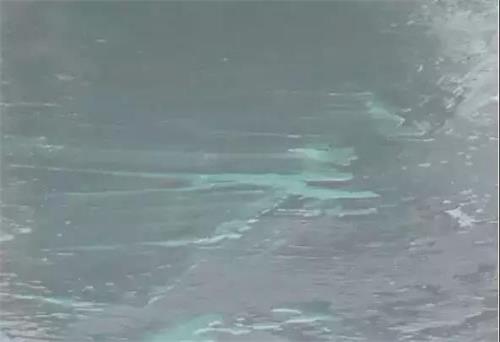 11628.jpg 防水补漏 (2).jpg